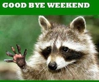 Goodbye weekend