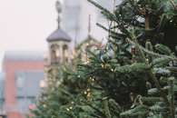 Subtle Christmas lights