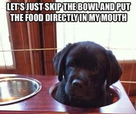 Lets skip the bowl