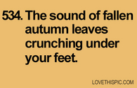 534-autumn-leaves