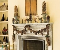 Decorating with Pine cones