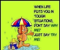try me