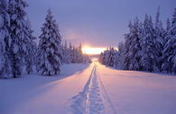 Snow tracks and sunshine