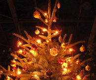 Lit christmas tree