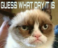 Guess what day it is
