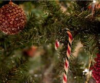 Candy cane