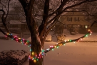 Tree lights