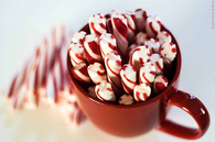 Candy cane in a cup