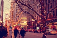 Tree wrapped christmas lights