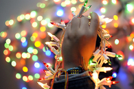 Christmas lights