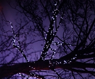Night lights