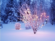 Christmas lights