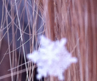 Snowflake