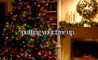 Putting your tree up