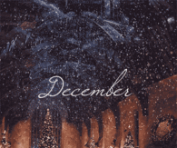 December snowfall