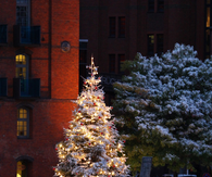 White Christmas Tree