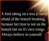 a bird sitting on a tree
