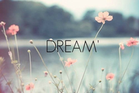 Dream
