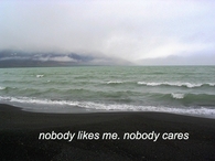 Nobody likes me, nobody cars