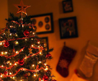 Beautiful christmas tree