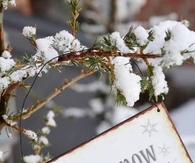 Let it snow