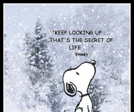 Snoopy's Secret of Life