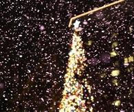Bright Christmas Tree