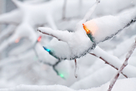 Frozen christmas lights