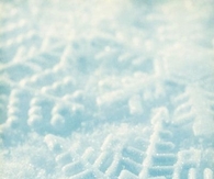 Snowflake in the snow