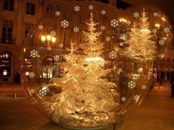 Tree filled ornaments