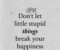 Dont let little stupid things 