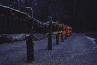 Fence decoration