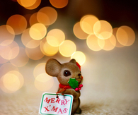 Merry xmas