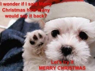 Merry Christmas