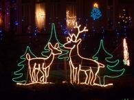 Christmas Deer