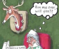 Grandma's Revenge