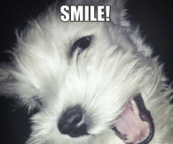 Smile its friday