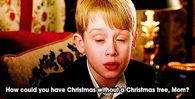 Christmas without a christmas tree