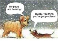 Buddy you think youve got problems