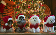 Christmas Animals