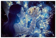 Iced Crystal Christmas Dream