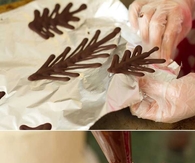 Chocolate raspberry forest cake