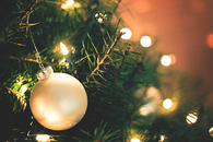 Evergreen christmas tree and ornament