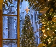 Christmas tree indoor and outdoors