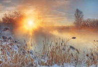 Sun Break In The Meadows!!