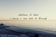 Whatever it takes