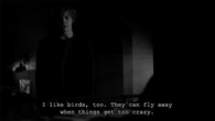 Birds can fly away