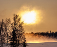 Frosty morning