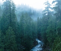 Icy blue river