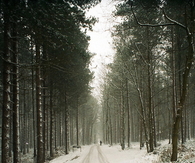 Path through snow